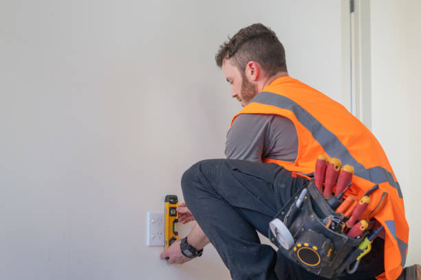 Best Generator Installation Services  in South Chicago Heights, IL